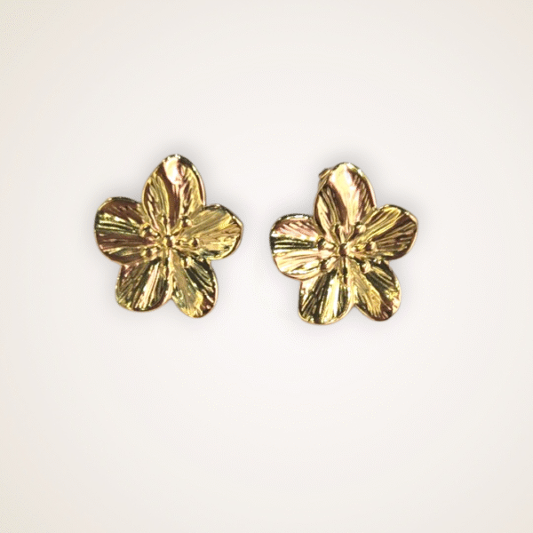 Boucles d'oreilles en acier inoxydable