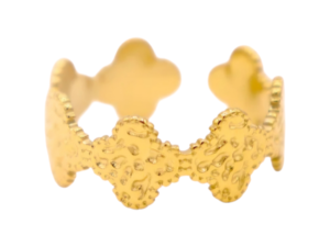 Bague acier inoxydable